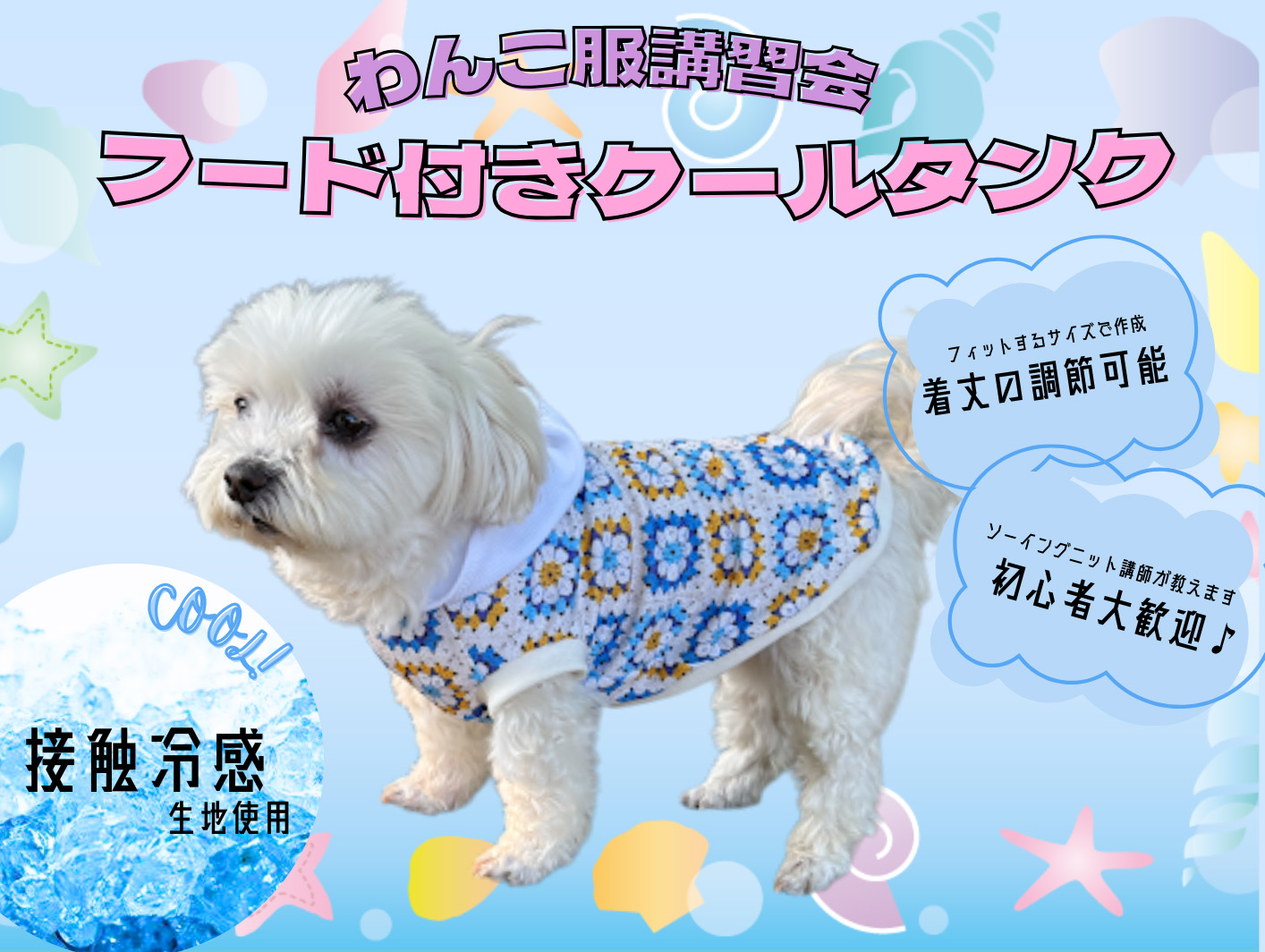 わんこ服講習会のお知らせ