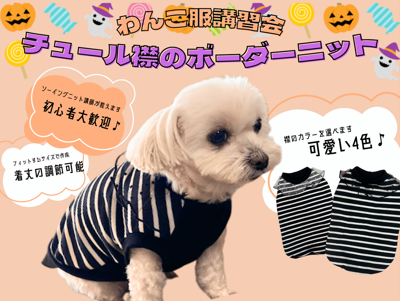 わんこ服講習会のお知らせ